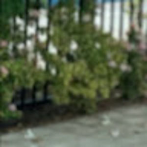 Meet your Posher, Mohamed